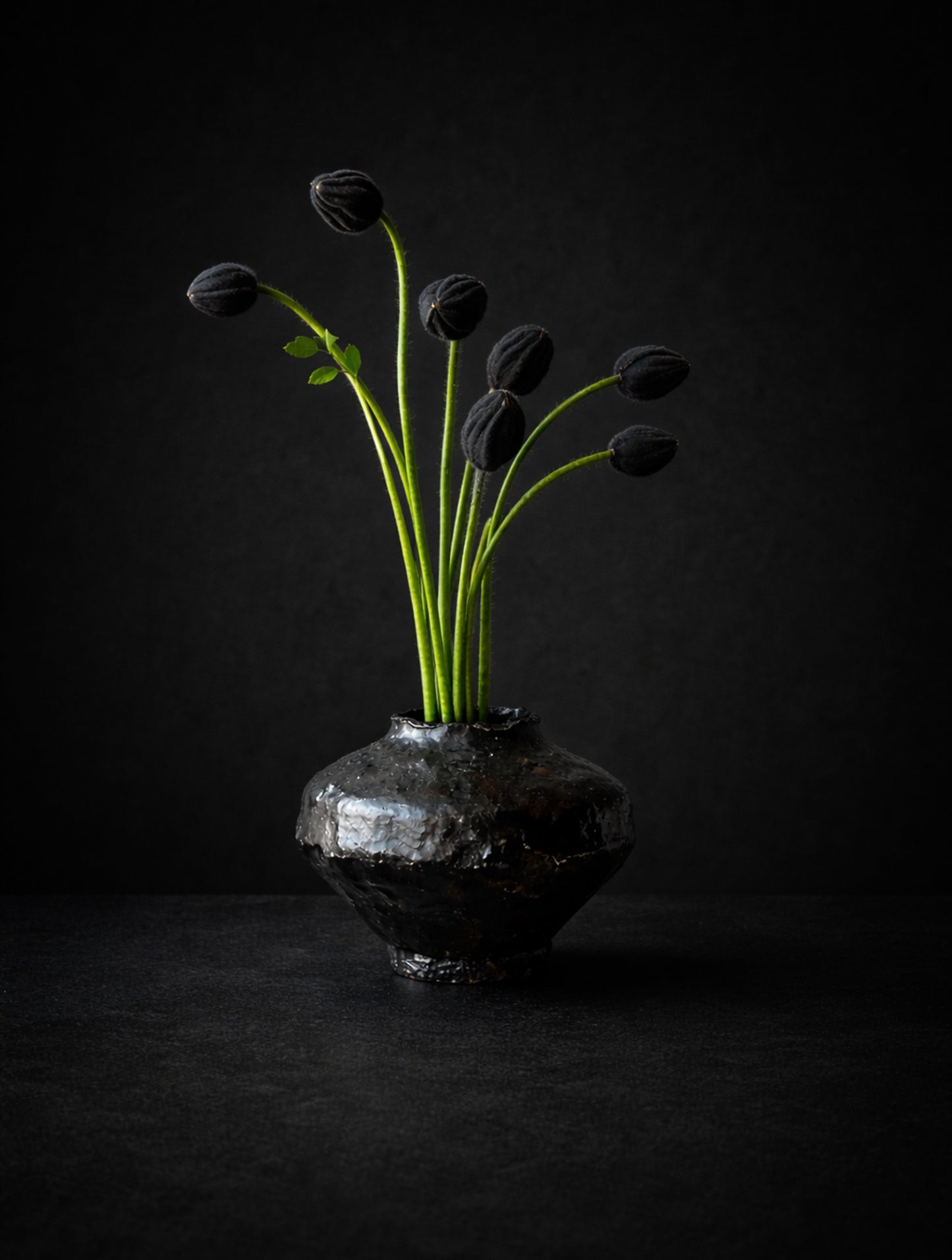 Kenzan Mini Set for Ikebana