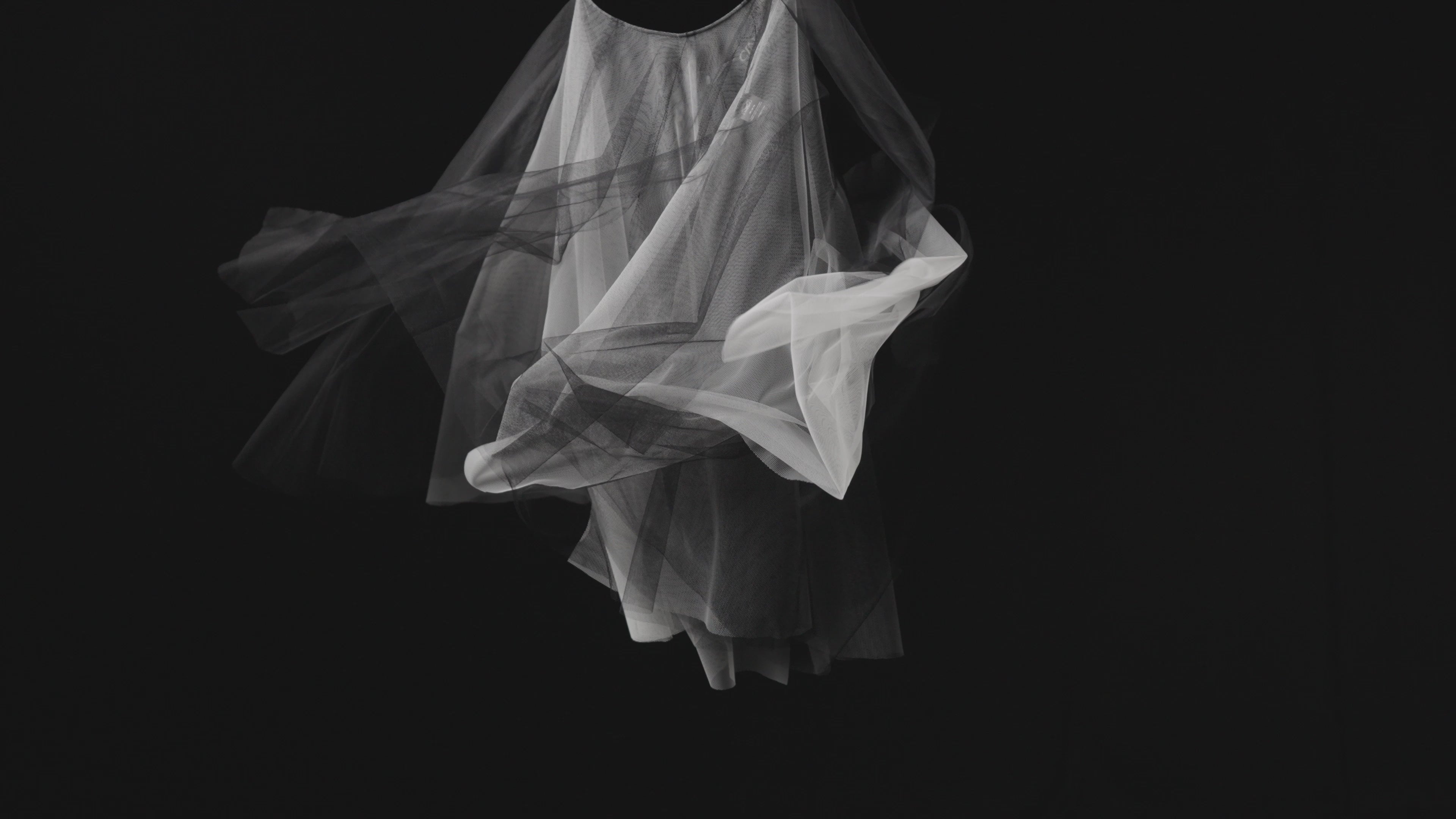 動画を読み込む: 